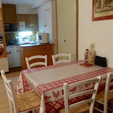 Confortable Pour 4 Pers, Balcon, Proche Telesiege, Parking Prive, Animaux Acceptes - Fr-1-263-379 * Valloire